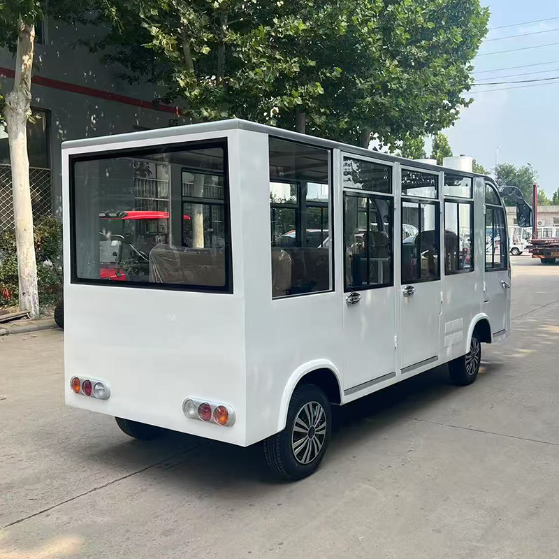 Gasoline Sightseeing Vehicle 2