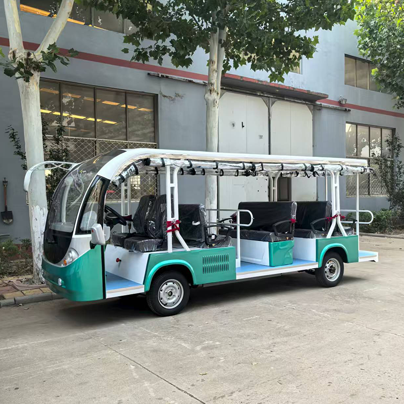 Gasoline Sightseeing Vehicle 1