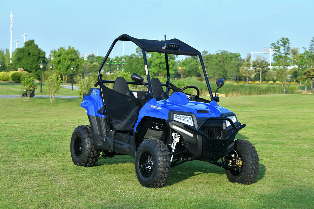 Teenager  Compact Luxury Off-Road Recreational Utility With Electronic Fuel Injection and CVT 200cc  UTV