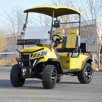 Wholesale Price Utility Vehicle 2 Seater Yellow Street Legal  Sightseeing Golf Cart for Amusement Park