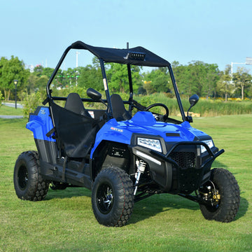 200cc Compact New Design Factory Buggy Drive on Sand Hill Off-road 2 Seats Teenager UTV