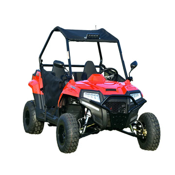 200cc Mini CVT Compact  Off-Road Chain Drive Recreational Utility Electronic Fuel Injection with Winch Teenager UTV