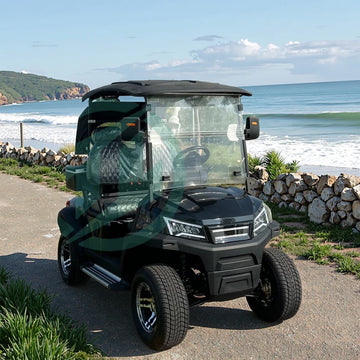 Yuexuan Off-road Golfcart with Reverse Camera and USB Port