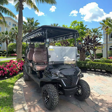 6 Seats Metal Steel Plastic Hunting Golf Cart Electric off Road Golf Cart Carro De Golf Electric with Curtis Controller