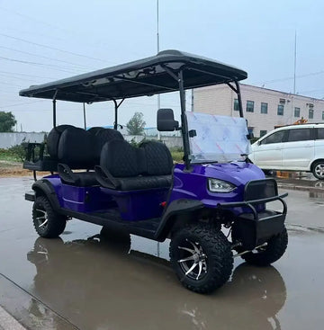 6-Seater 4x4 Golf Cart for Apple Play for Outdoor Recreation