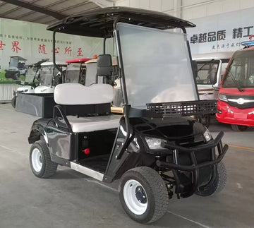 Electric Golf Carts With Cargo Box Customized Travel Buggy Disc Brake Car