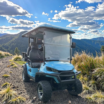 6 Seats Metal Steel Plastic Hunting Golf Cart Electric off Road Gasoline Golf Carts Car Buggy Golf Scooter with Curtis Controller