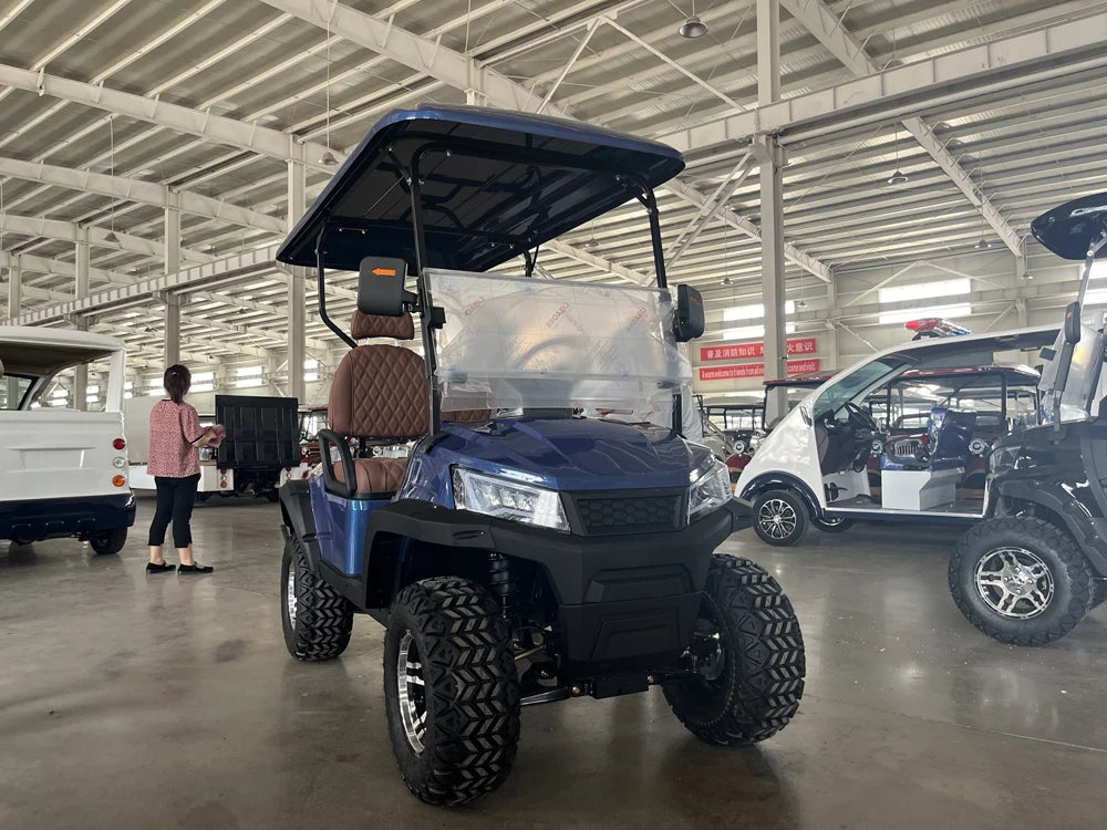 2 Passenger Electric Golf Cart 2-Seater Utility Car for Resort or Hotel Use