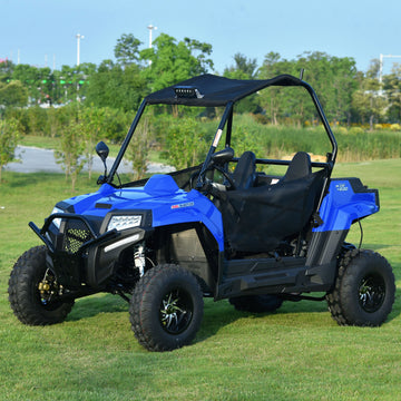 200cc Utv Side by Sides Compact Luxury Off-Road Recreational Utility With Electronic Fuel Injection and CVT UTV