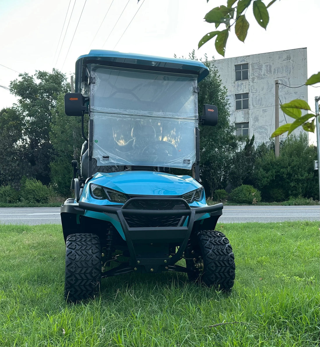 Off-Road Yuexuan Electric Golf Cart with Eu and air Conditioner