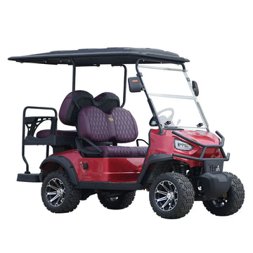 Electric 4 Seats Off-road Golf Cart 4x4 Drive Sightseeing for Amusement Park Lithium Battery 3.5KW AC Motor Customized Wheel