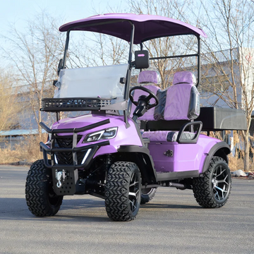 Adjustable Seats  Street Legal  Electric Purple  Golf Cart 2 Seater Electric Lithium  Buggy for Golf Course Transportation