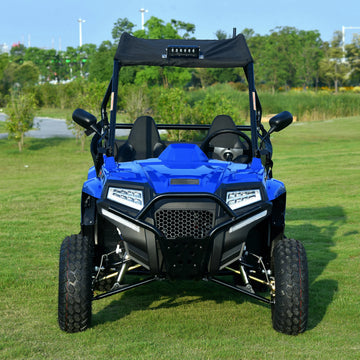 Teenager  Compact Luxury Off-Road Recreational Utility With Electronic Fuel Injection and CVT 200cc  UTV