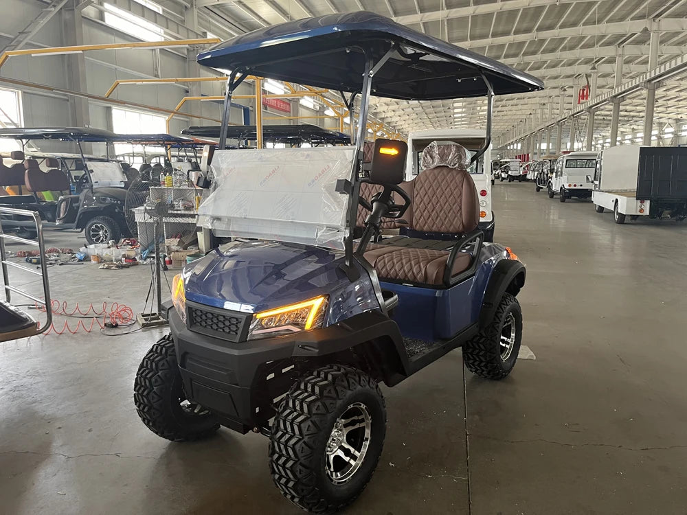 Chinese 48V Battery Electric Off-Road Golf Cart 4 6 12 Seater Big Wheel Club Car