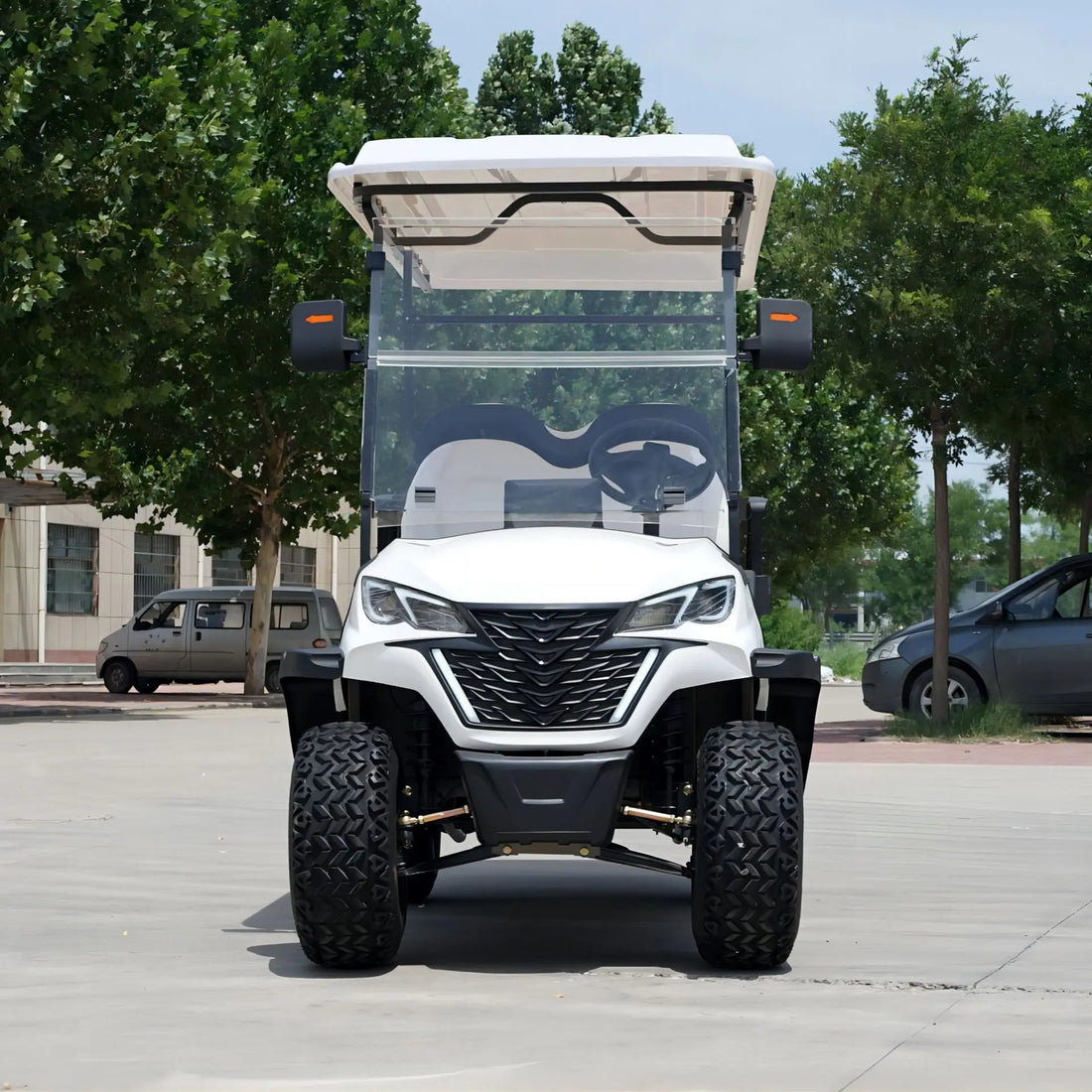 Hot Selling 4-Seater Electric Passenger Golf Cart in USA and Canada 2+2 Seats Model