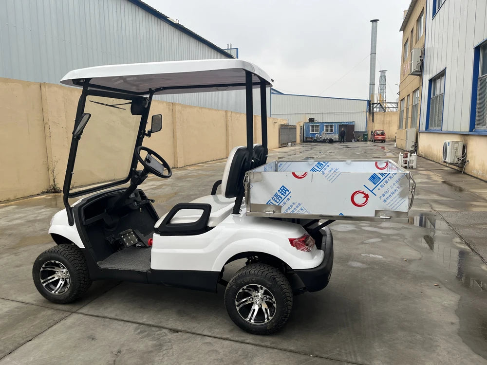 2-Seater Electric Golf Utility Cart with Cargo Box CE Approved 48V Battery Resort Style Buggy