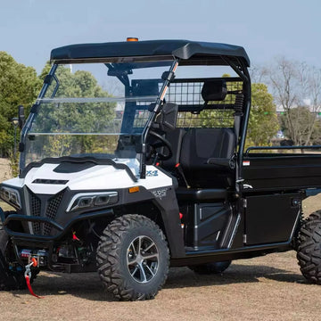 Yuexuan Extended Cargo 4WD Dual Motor Eec Certified Differential Lock Automatic Transmission Long Distance Range Lithium Battery
