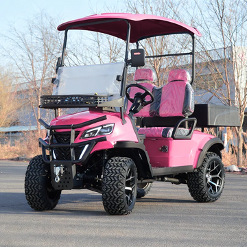 2 Seater Pink Adjustable Seats  Electric Club Car Golf Carts Equipped with 3.5KW AC Motor for Off-road Hunting