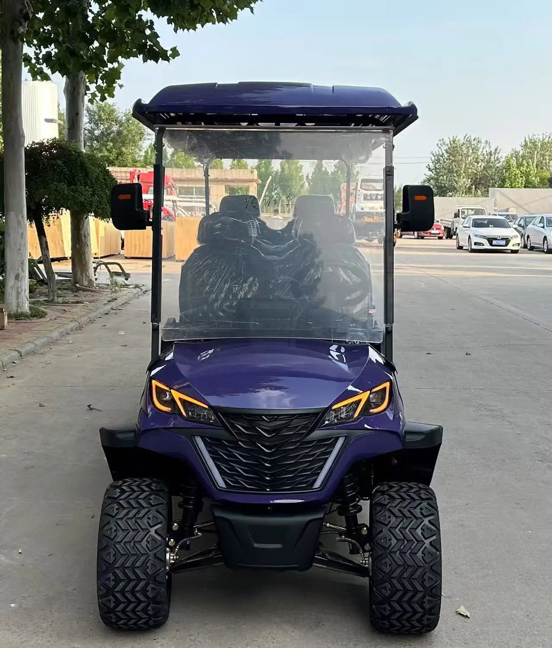 Free Shipping Hunting Club Car 8 Seat Golf Cart for Hotels