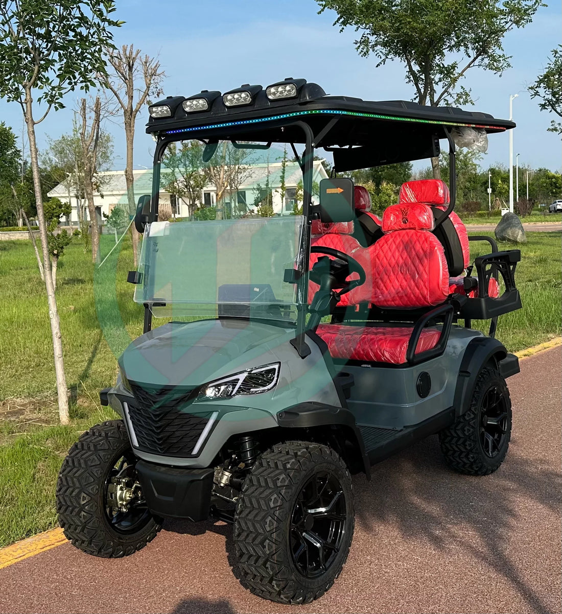 4 Person Electric Golf Cart with 5KW Motor and 48V Battery EEC/DOT Certified