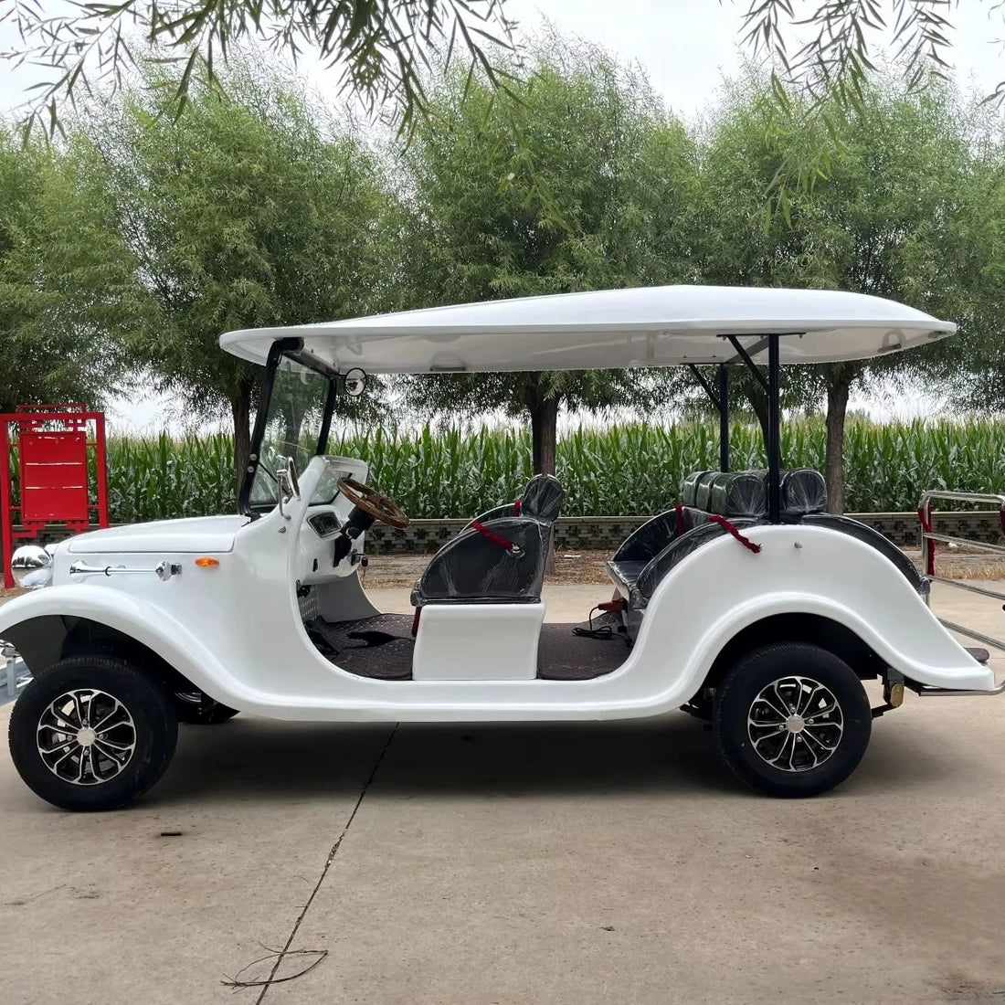 Luxury  White  Lithium Battery Operated Electric Sightseeing Car with Adjustable  Seat for Hotel Reception Supports OEM/ODM