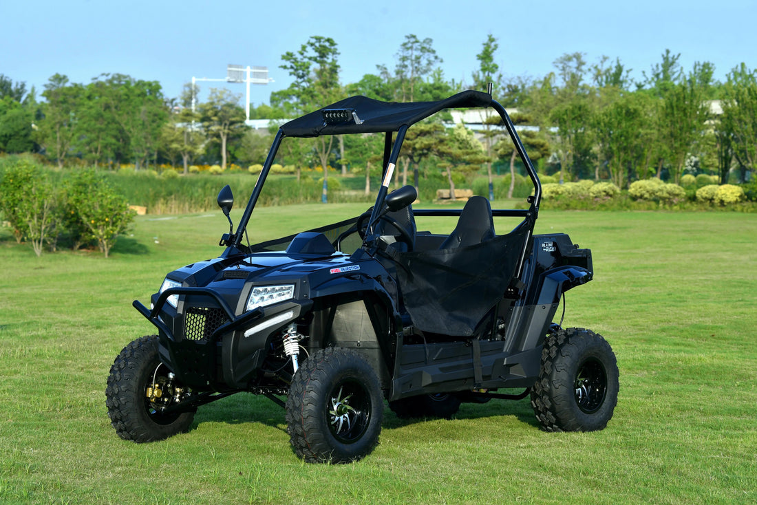 Winch Ready 200cc Compact New Design Factory Buggy Drive on Sand Hill Off-road 2 Seats Windshield Teenager UTV