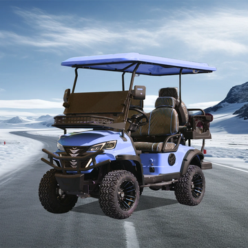 Customizable Colors 4 Passenger Lithium Battery  Electric Purple Golf Cart Buggy for Hotel Reception Supports OEM/ODM
