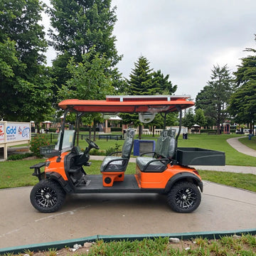 Low Speed Vehicle Electric Golf Cart with Solar Panel with OEM Customization