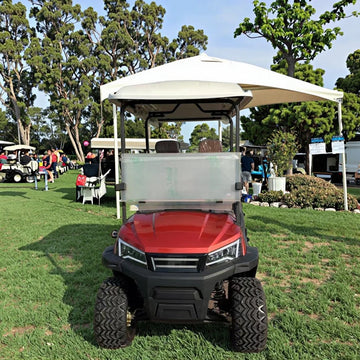Yuexuan Golf Cart 6 Seater Gas with Car Refrigerator