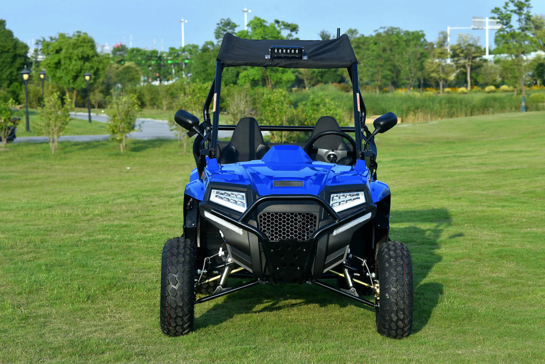 Luxury 200cc 4-Wheel Off-Road Recreational Utility Compact CVT Side-by-Side Electronic Fuel Injection EPA EEC Certified 2WD UTV