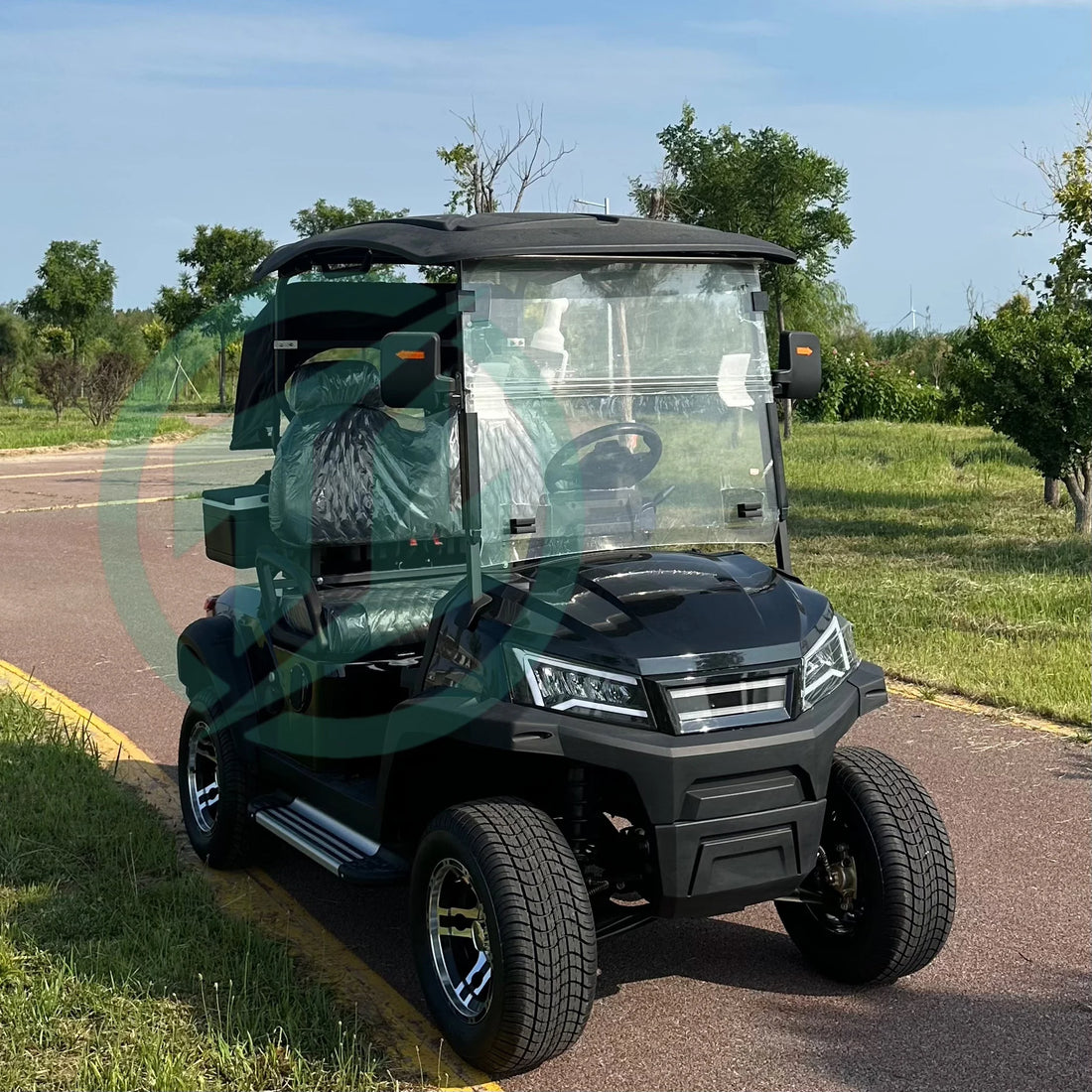 New Design 2 Seat Electric Golf Carts Electric with Lithium Battery China for Campus Use