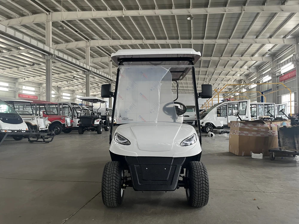 New Style 4-Seater Electric Scooter Golf Cart for Clubs 48v Battery Voltage