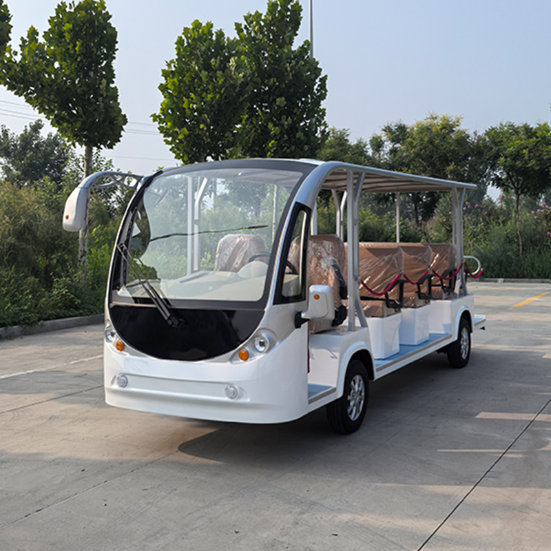 Sightseeing Vehicle 1