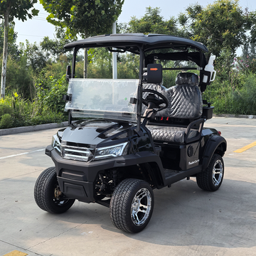 Model F 2 Seats, With Ball Bag Racks